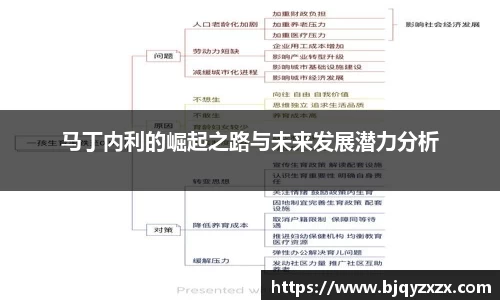 马丁内利的崛起之路与未来发展潜力分析